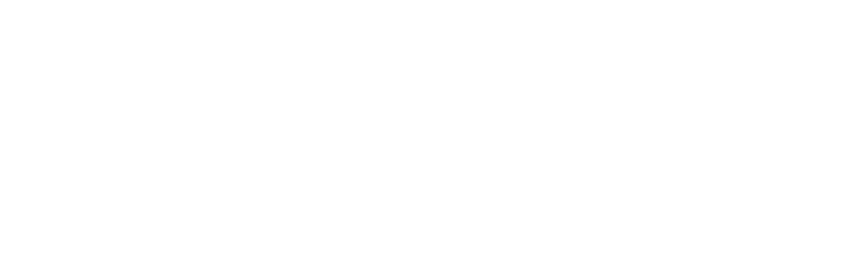 Evolvion logo